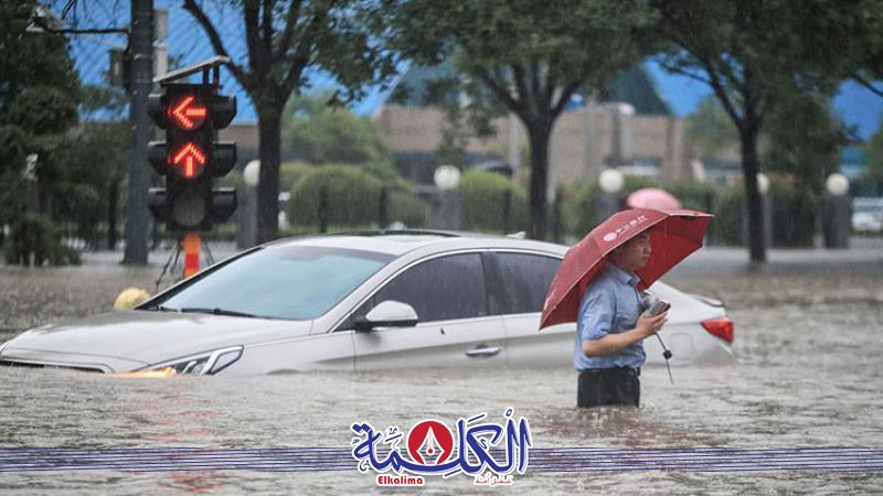 بوابة الكلمة