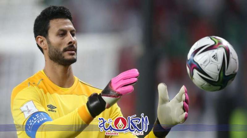 محمد الشناوى