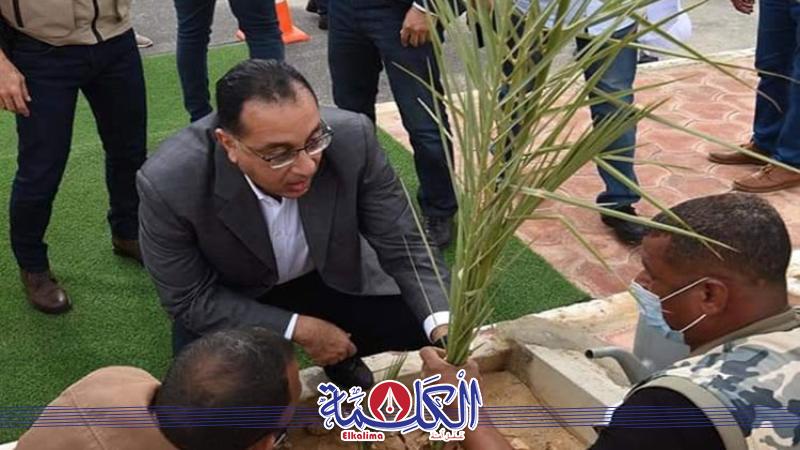 بوابة الكلمة