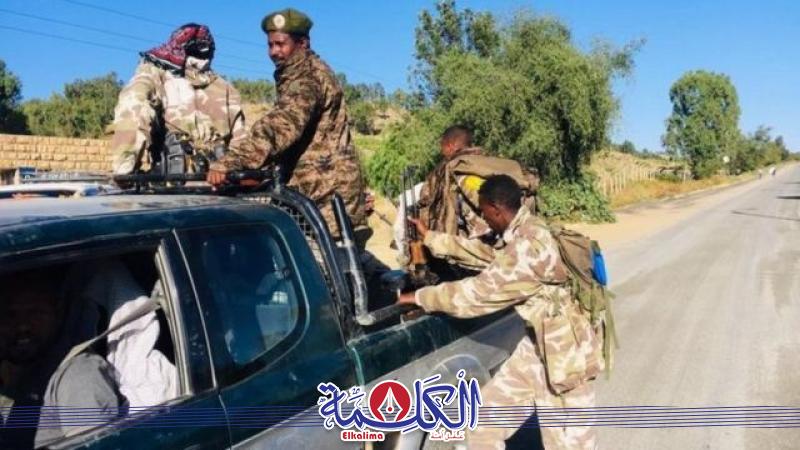قوات تحرير تيجراى 