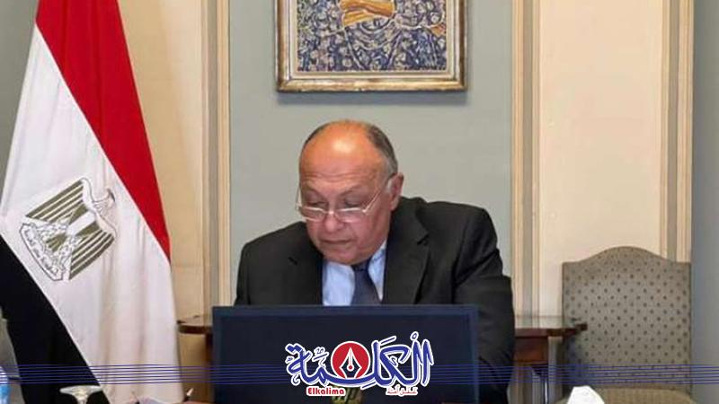 وزير الخارجية سامح شكرى