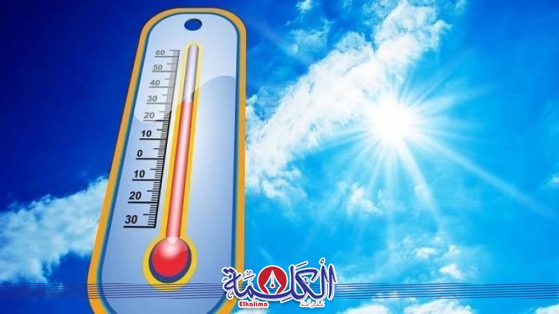 بوابة الكلمة