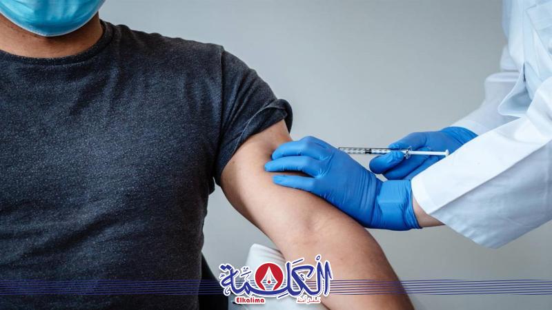 بوابة الكلمة