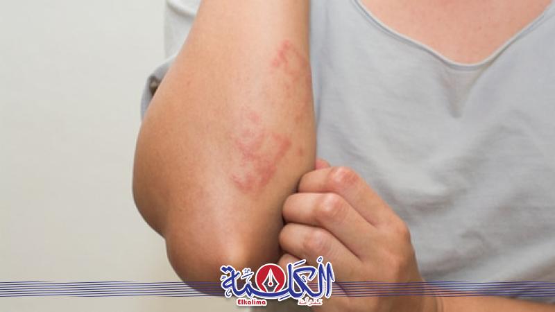 بوابة الكلمة