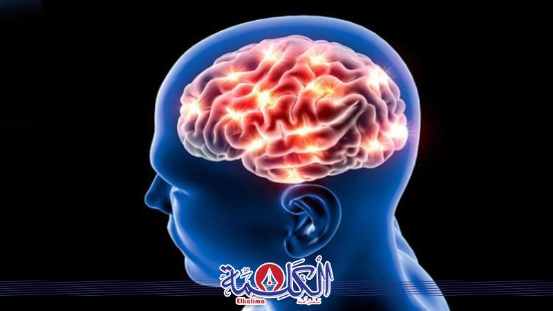 بوابة الكلمة