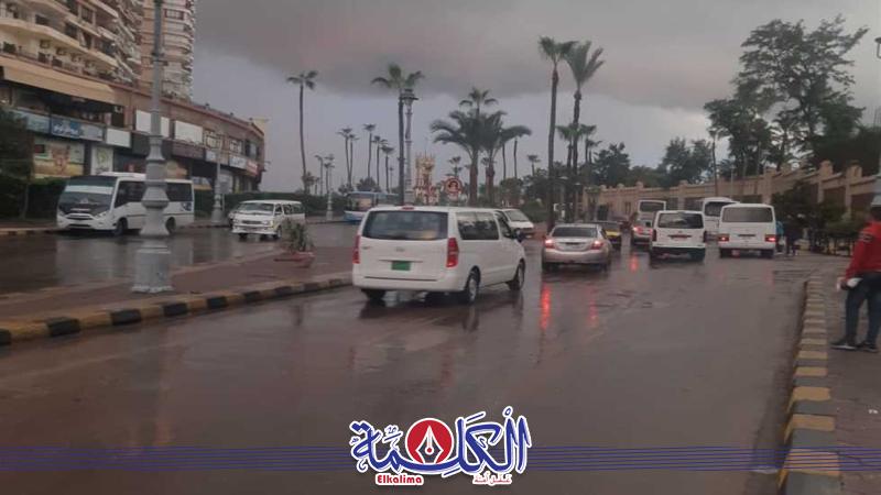 بوابة الكلمة
