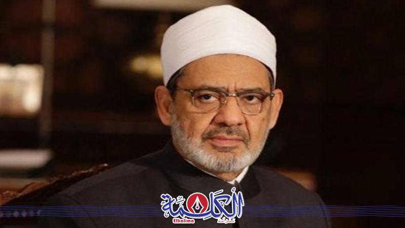 بوابة الكلمة