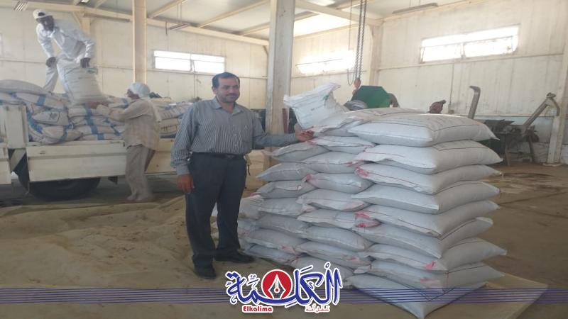 بوابة الكلمة