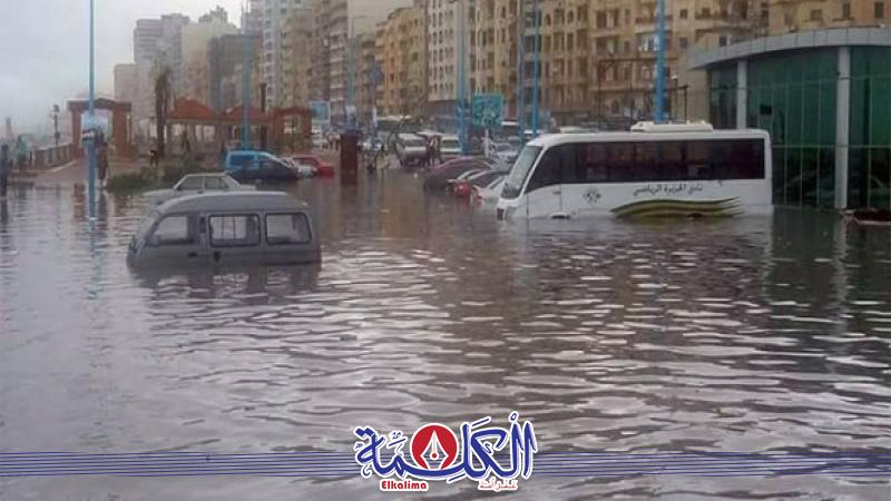 بوابة الكلمة