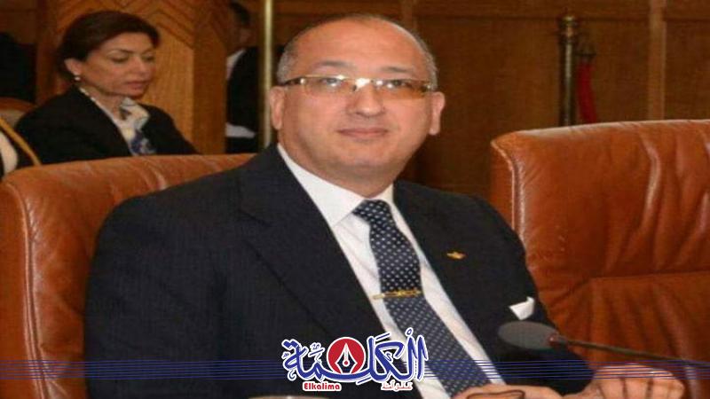 الدكتور طارق اسماعيل 