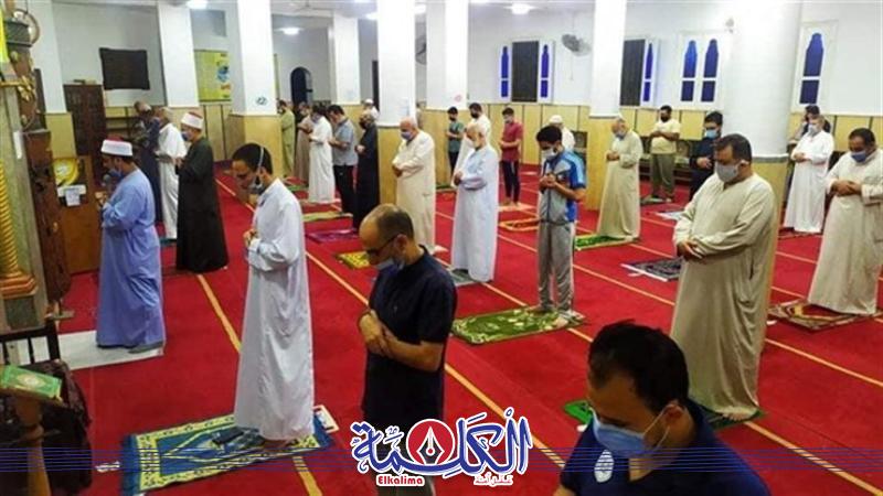 بوابة الكلمة