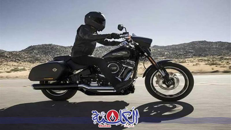 بوابة الكلمة