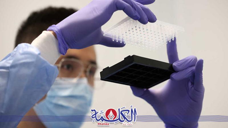 بوابة الكلمة