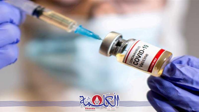 بوابة الكلمة
