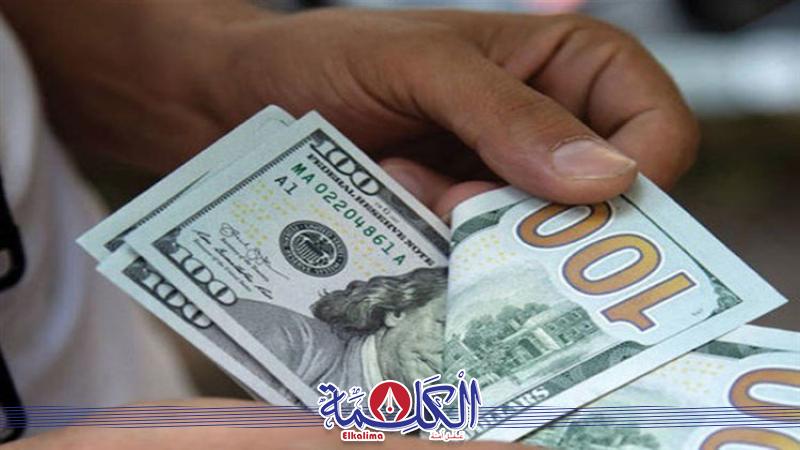 بوابة الكلمة