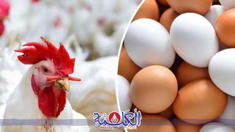 بوابة الكلمة