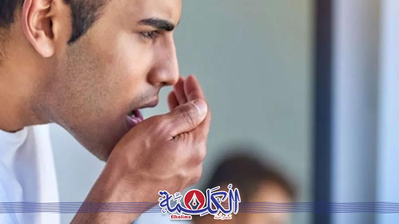 بوابة الكلمة