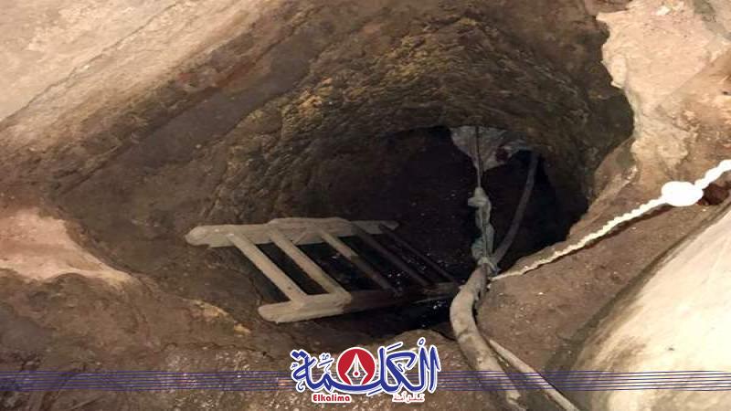 بوابة الكلمة