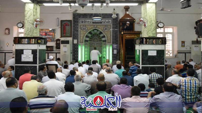 بوابة الكلمة