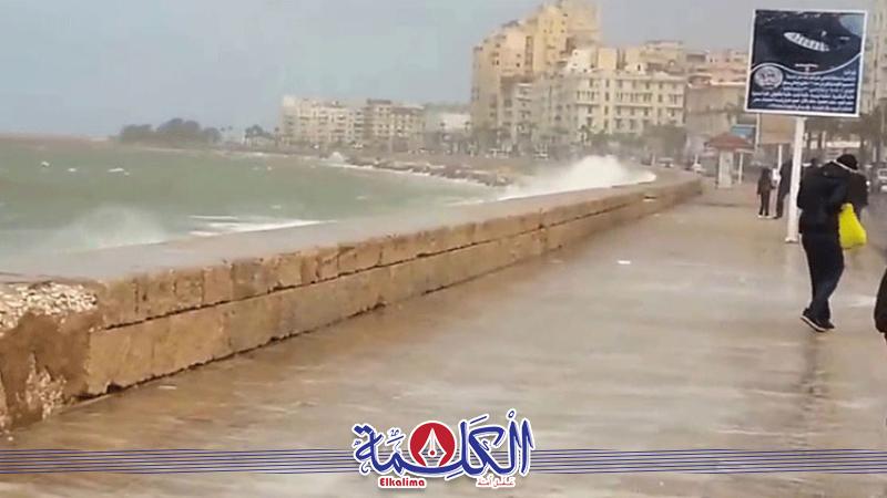 بوابة الكلمة