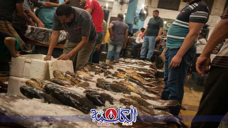 بوابة الكلمة