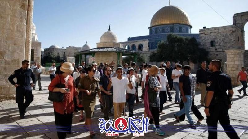 بوابة الكلمة
