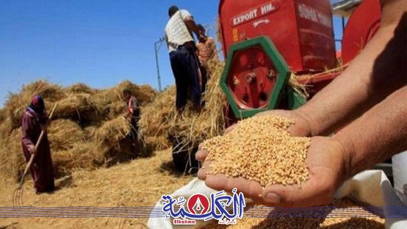 بوابة الكلمة