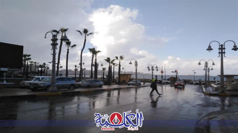 بوابة الكلمة