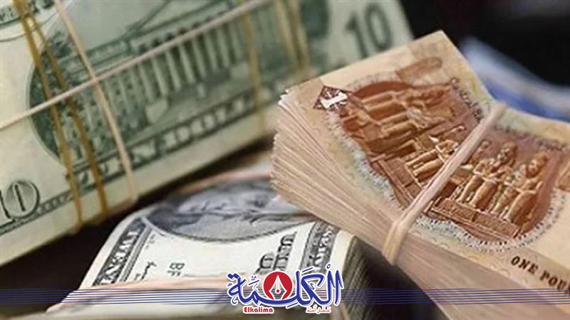 بوابة الكلمة