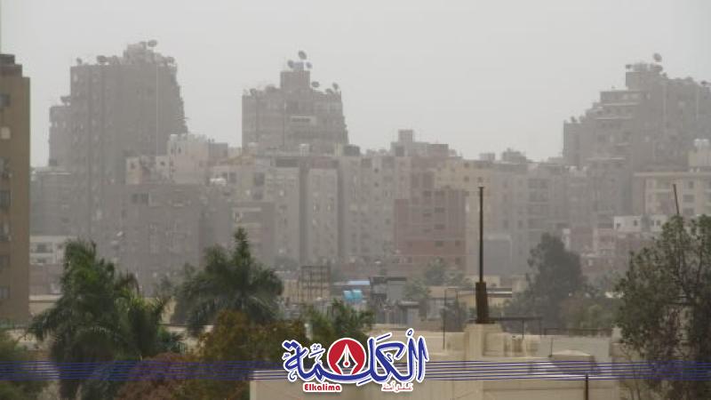 بوابة الكلمة