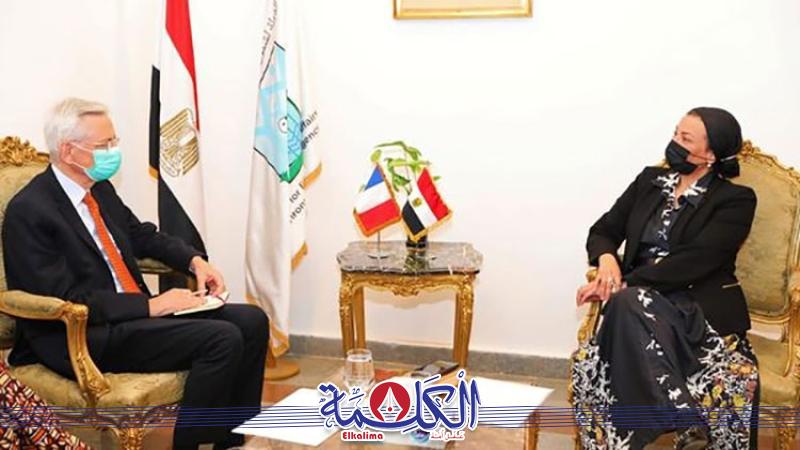 بوابة الكلمة