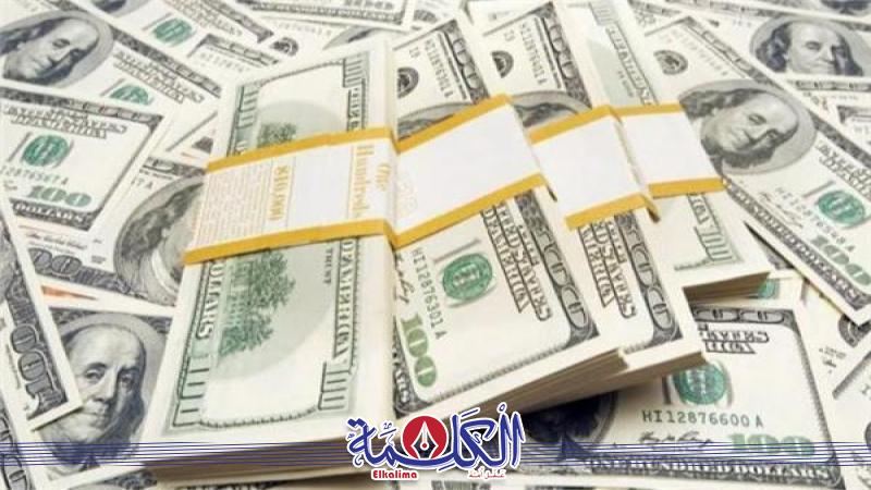 بوابة الكلمة