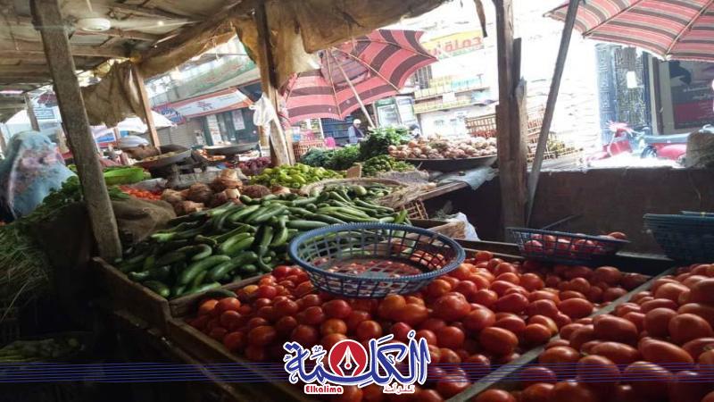 بوابة الكلمة