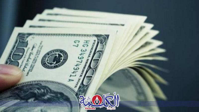بوابة الكلمة