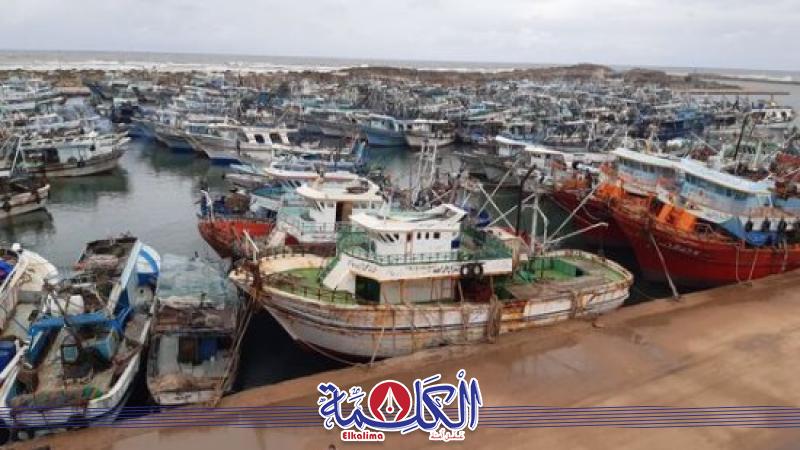 بوابة الكلمة