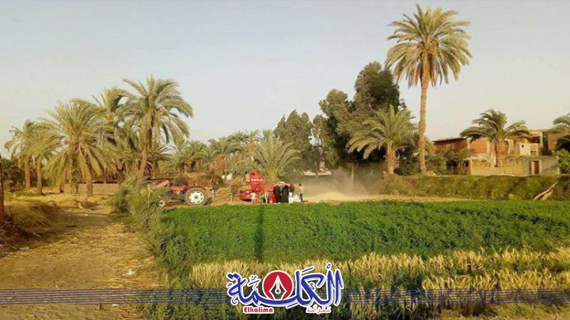 بوابة الكلمة