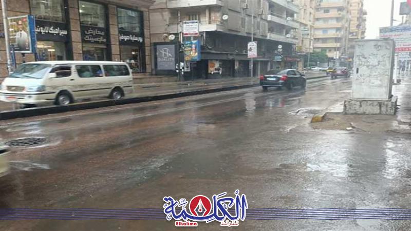 بوابة الكلمة