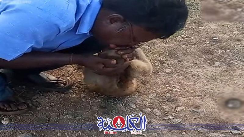 بوابة الكلمة
