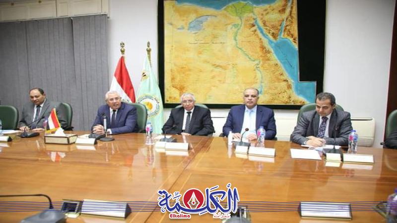 بوابة الكلمة