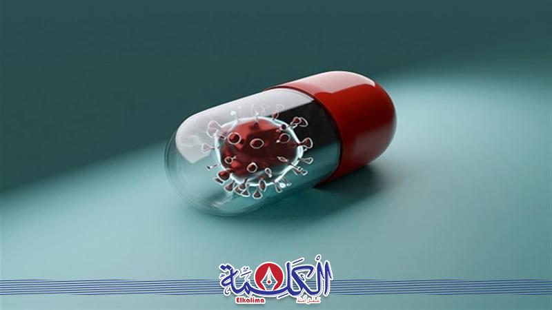 بوابة الكلمة