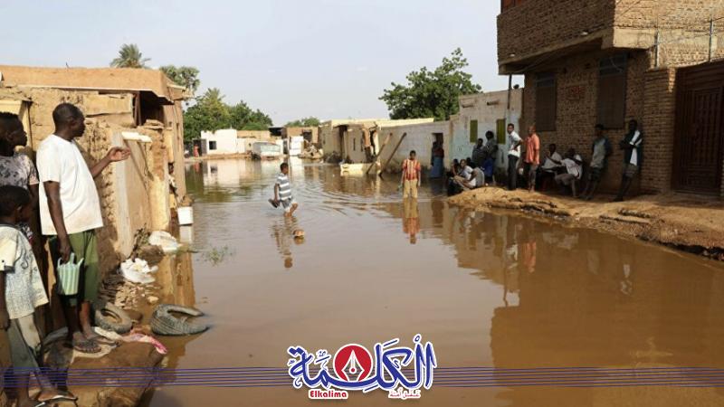 بوابة الكلمة