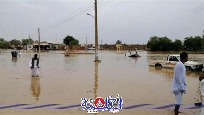 بوابة الكلمة