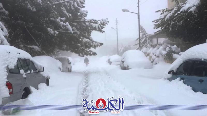 بوابة الكلمة
