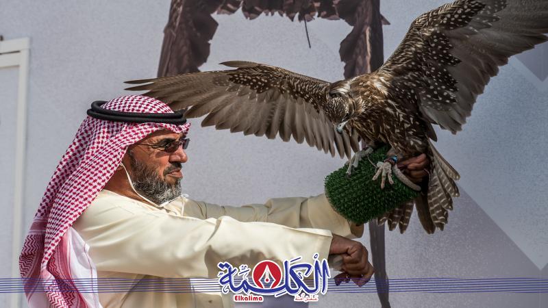 بوابة الكلمة