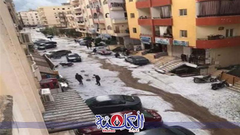 بوابة الكلمة