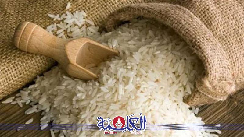 بوابة الكلمة