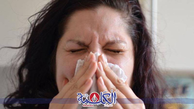 بوابة الكلمة