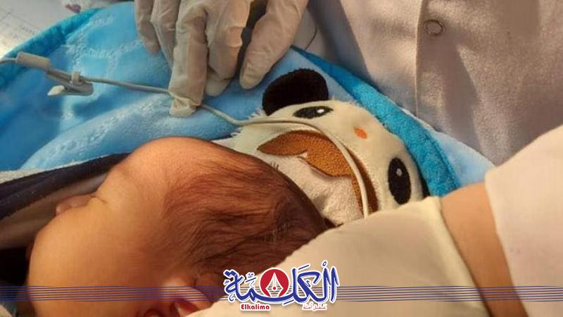 بوابة الكلمة