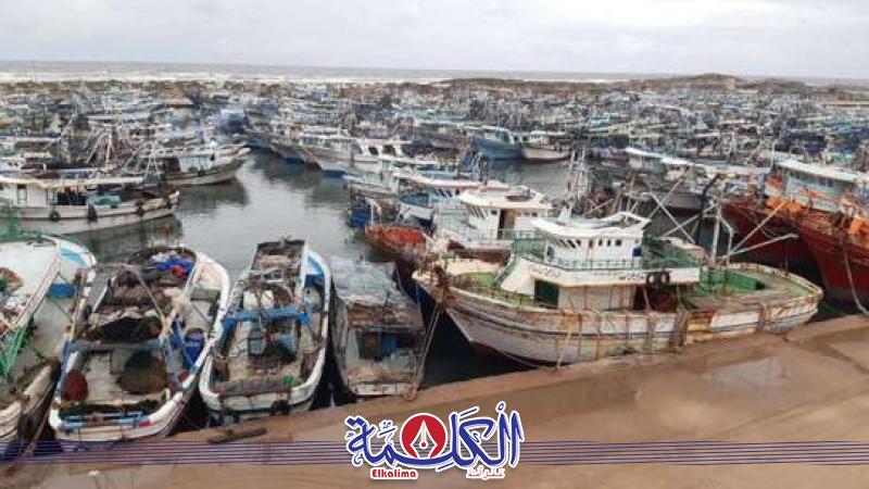 بوابة الكلمة