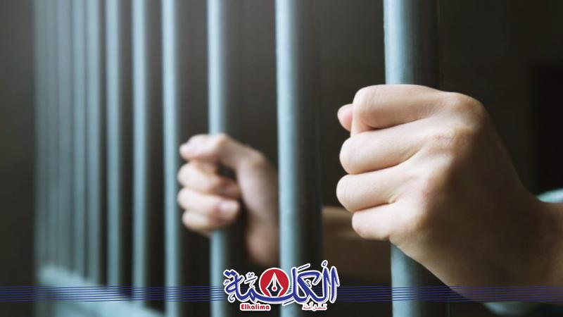 بوابة الكلمة